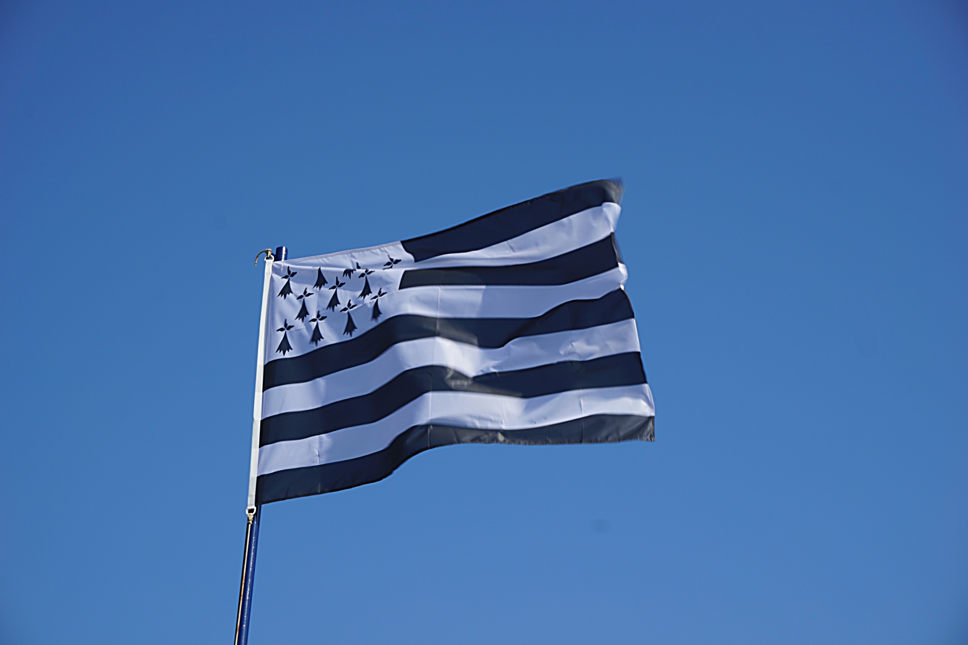 flag brittany breton flag free photo