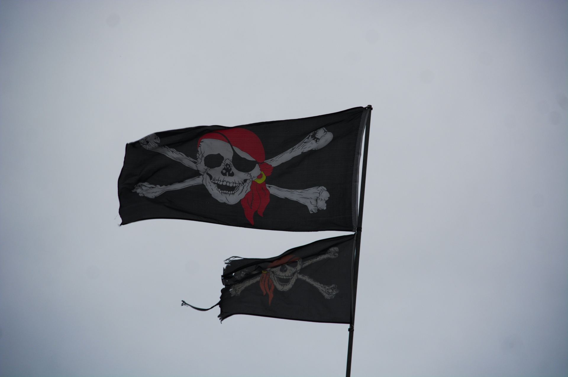 flags banners skull free photo
