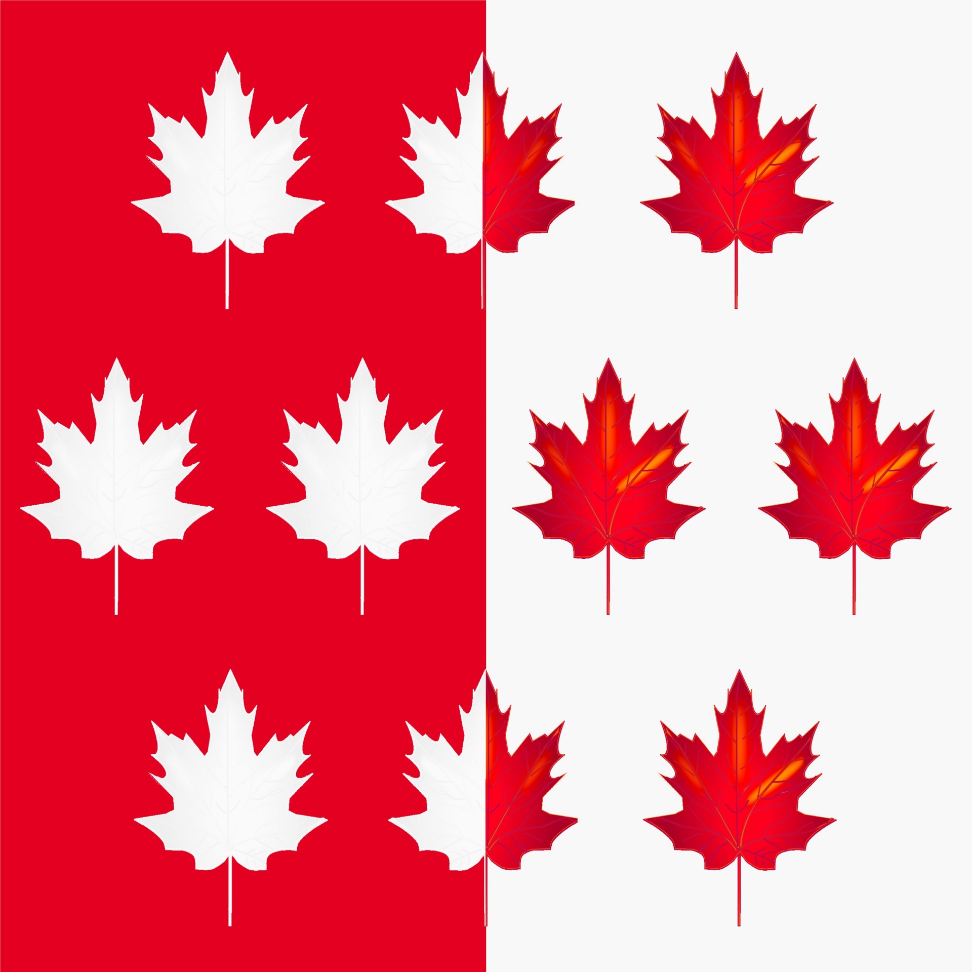 flag canada maple leaf free photo