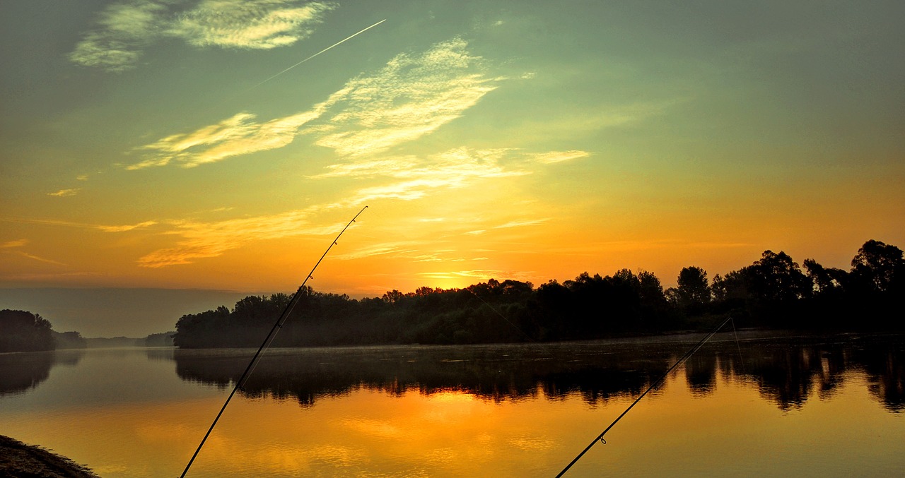 drava dawn fishing free photo