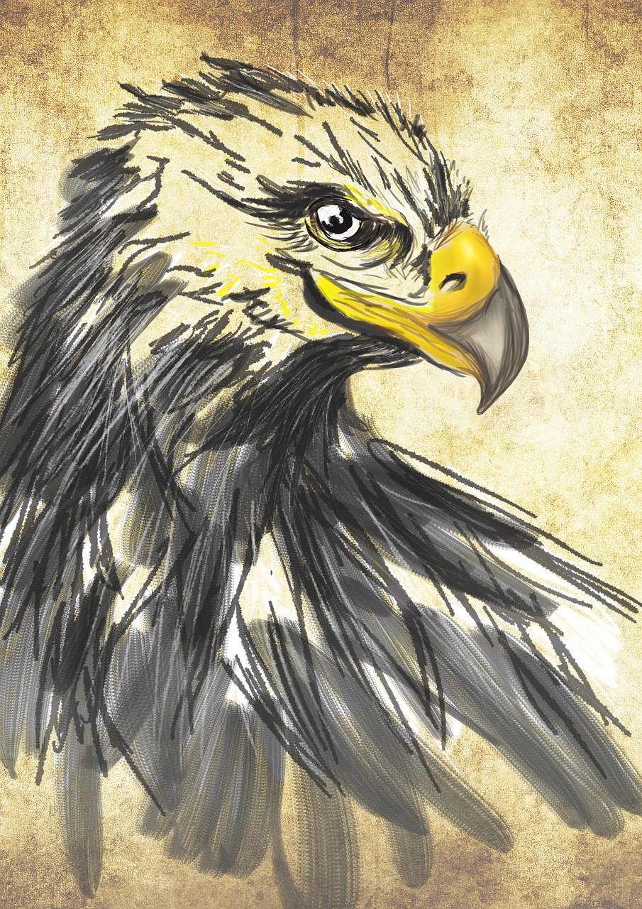 drawing art eagle free photo