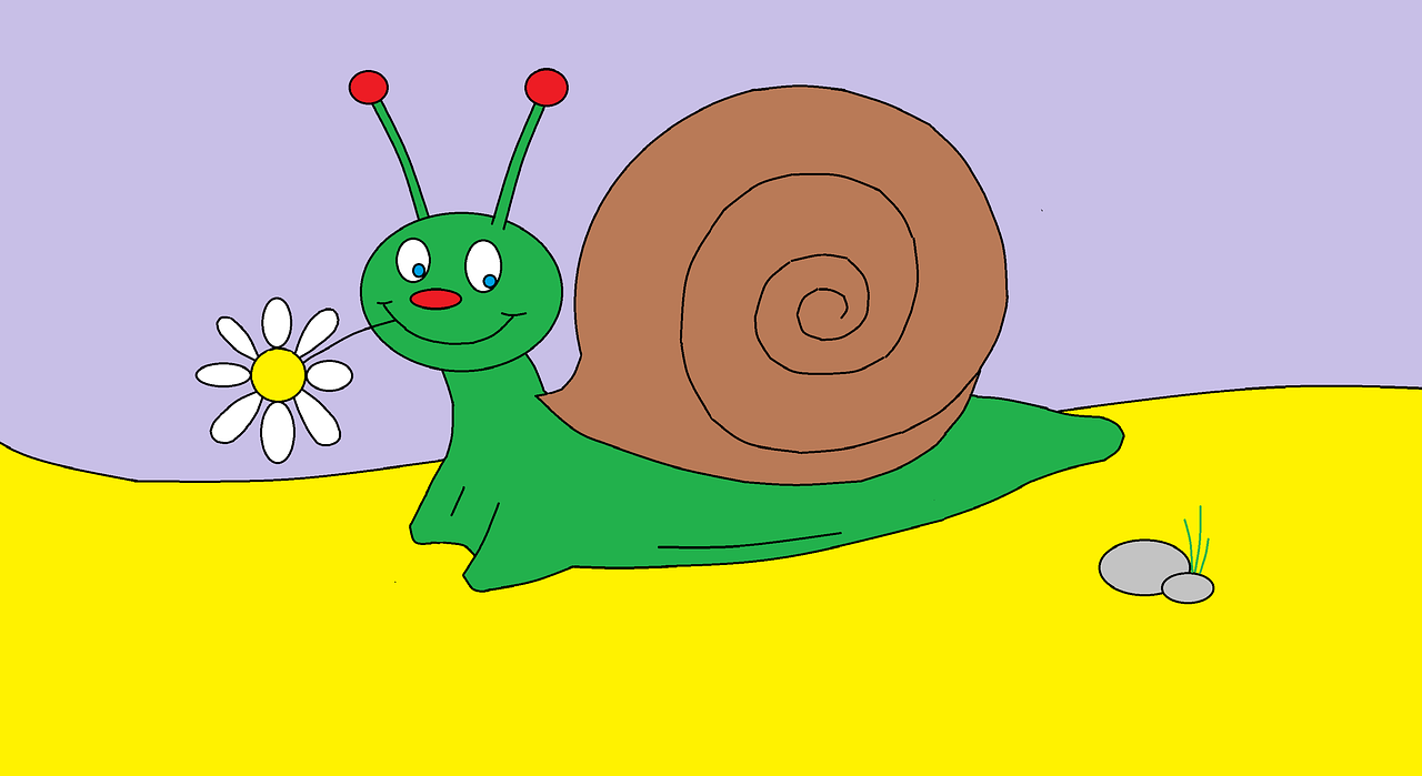 drawing snail green free photo