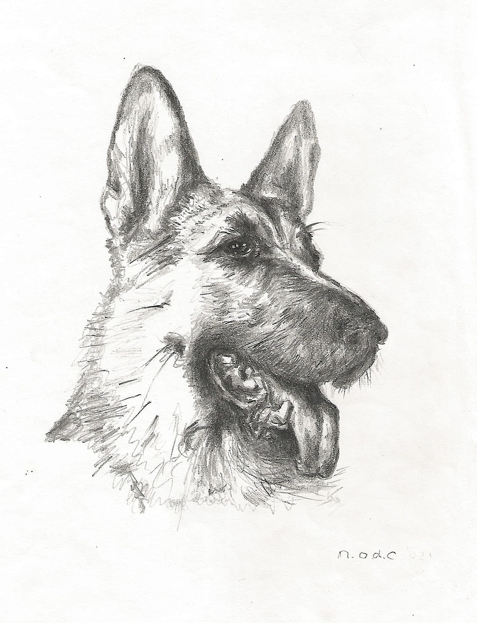 drawing dog german shepherd free photo