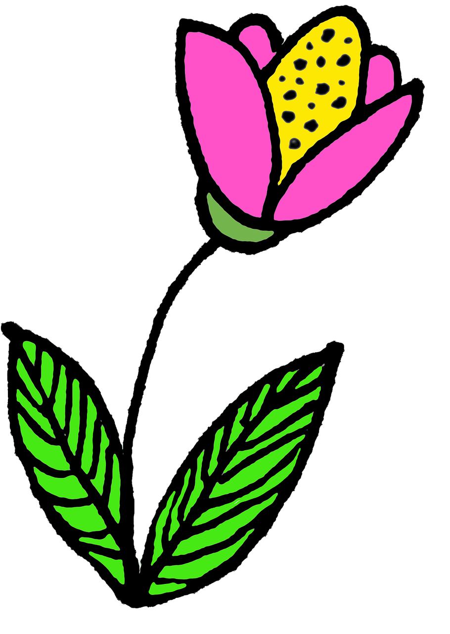 drawing flower nosegay free photo