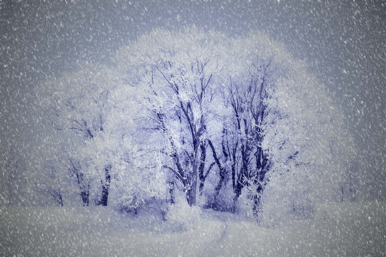 drawing wintry snow free photo