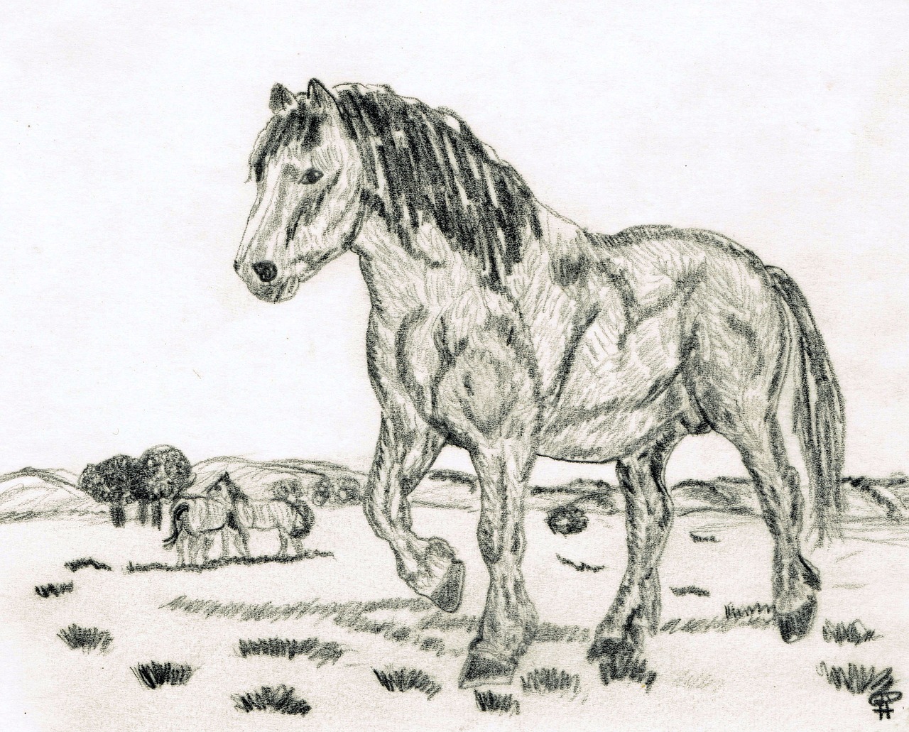 drawing pencil drawing horse free photo