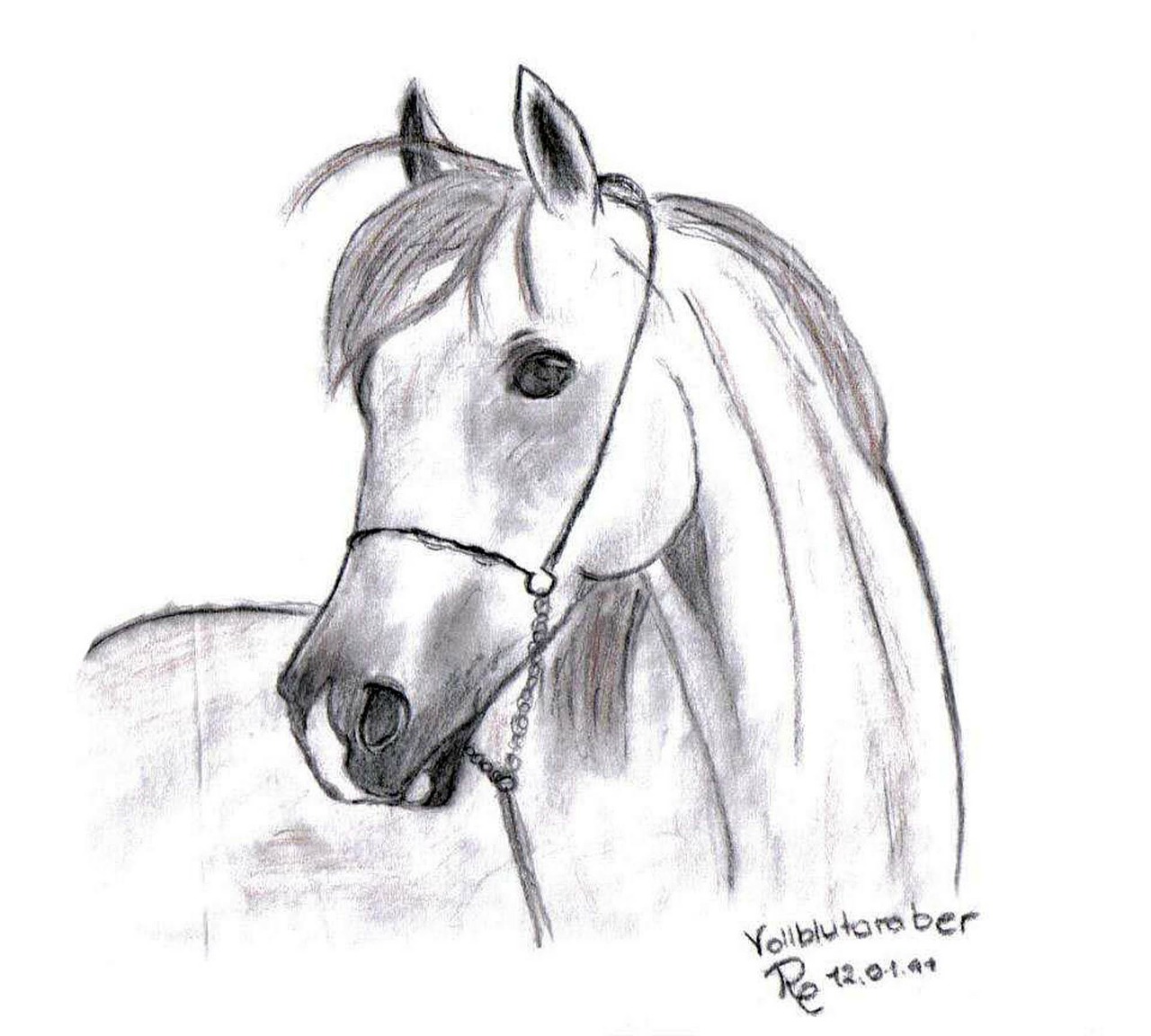 drawing image pony free photo