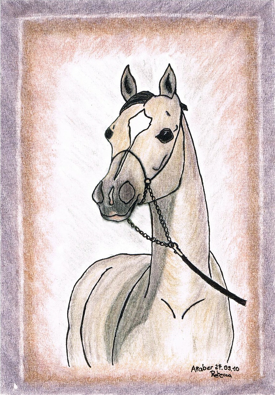 drawing painting horse free photo