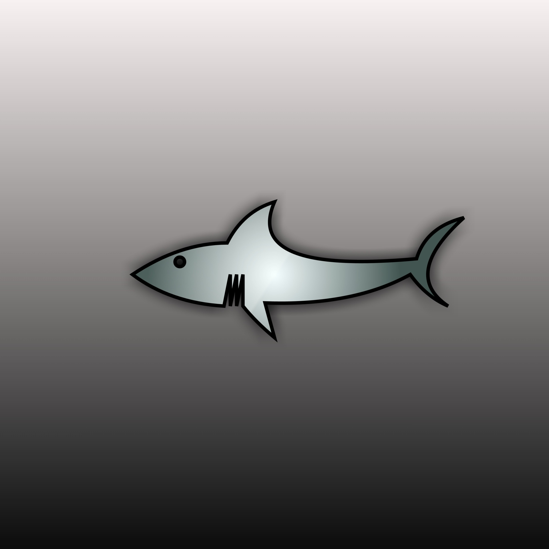 wallpaper shark fish free photo