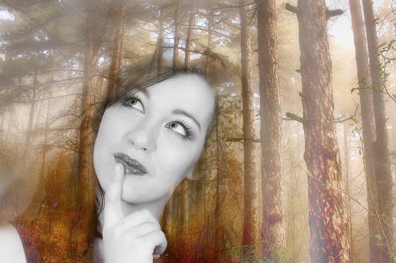 dream fantasy imagination free photo