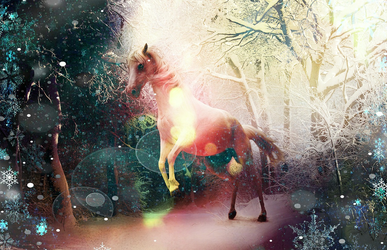 dream fairy tales winter free photo