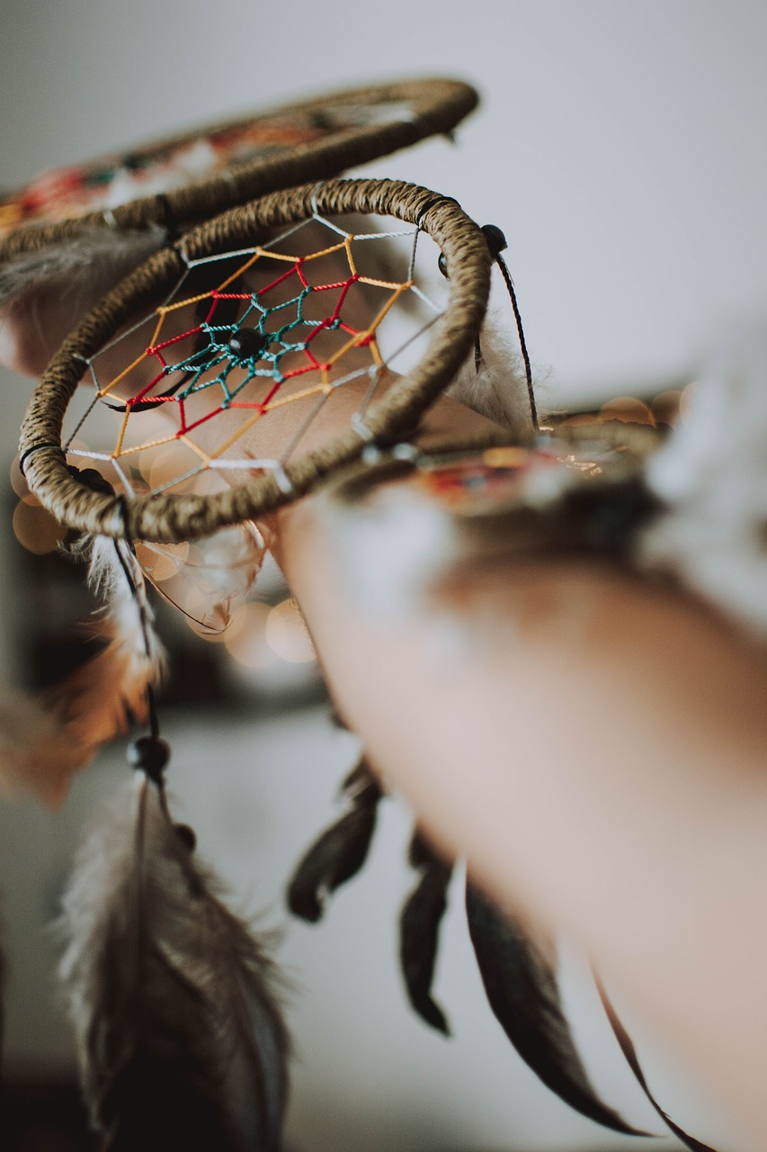 dream catcher  feather  arm free photo