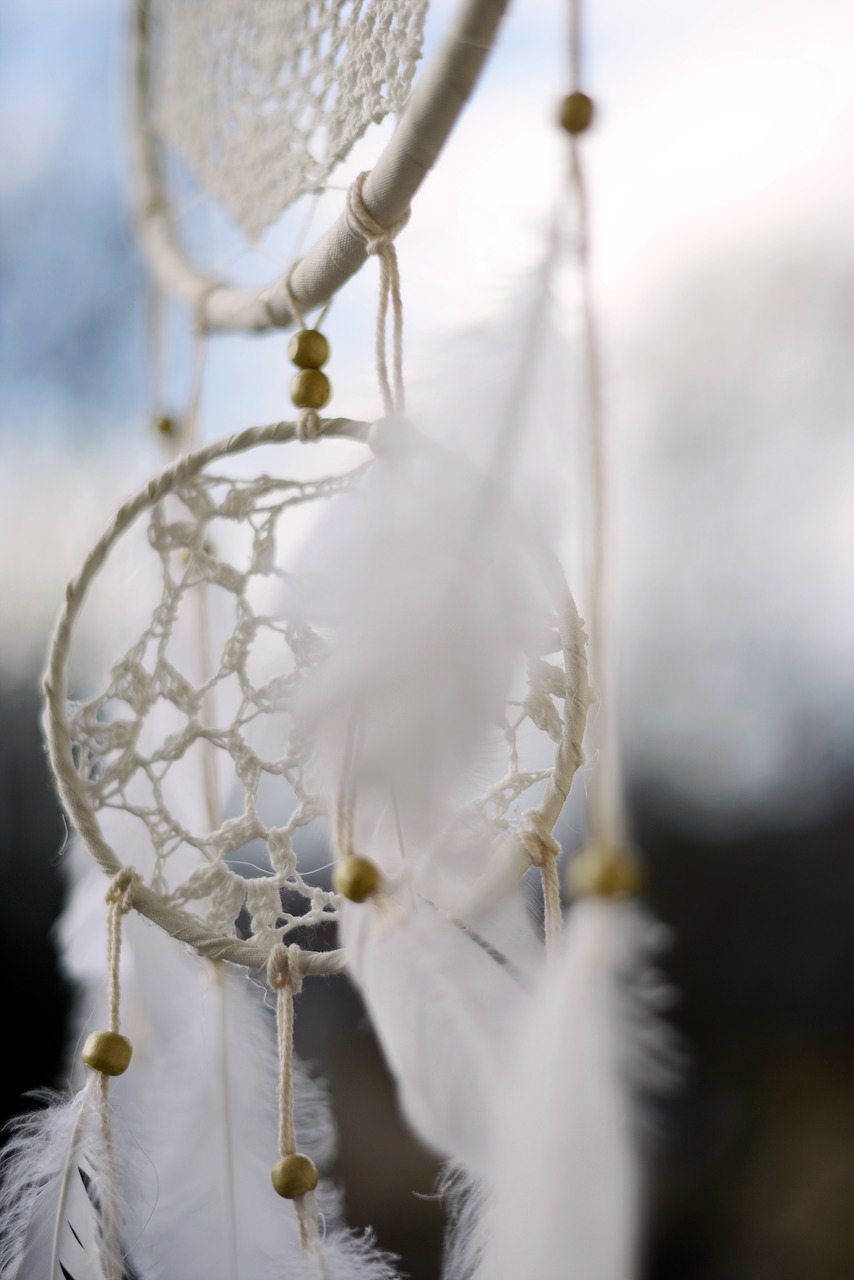 dream catcher  dreamcatcher  feather free photo