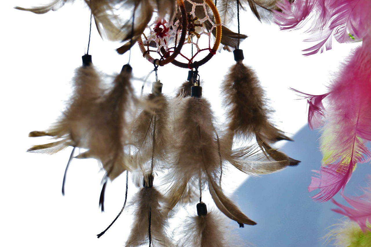 dreamcatcher dream filter feathers free photo