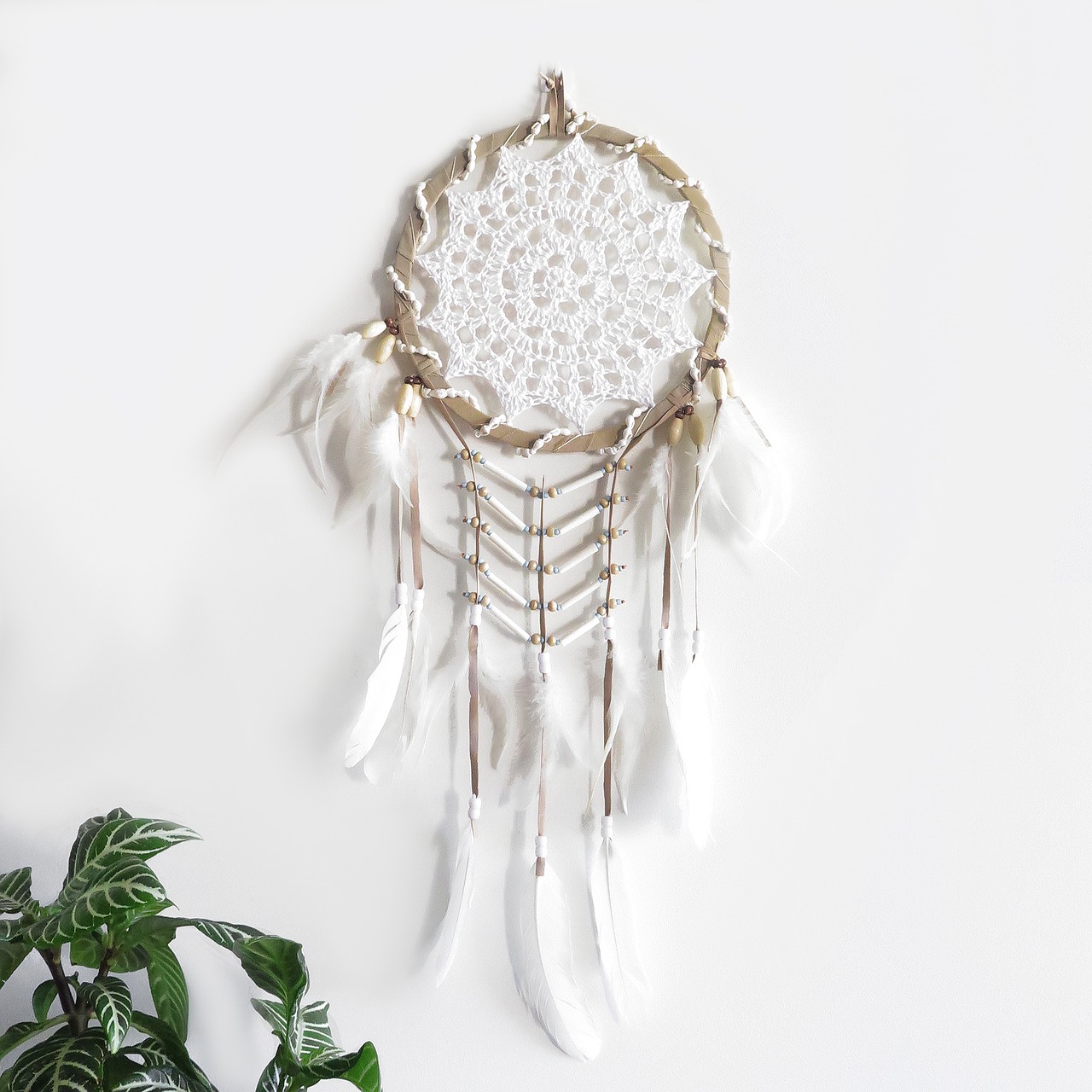 dreams dream catcher free pictures free photo