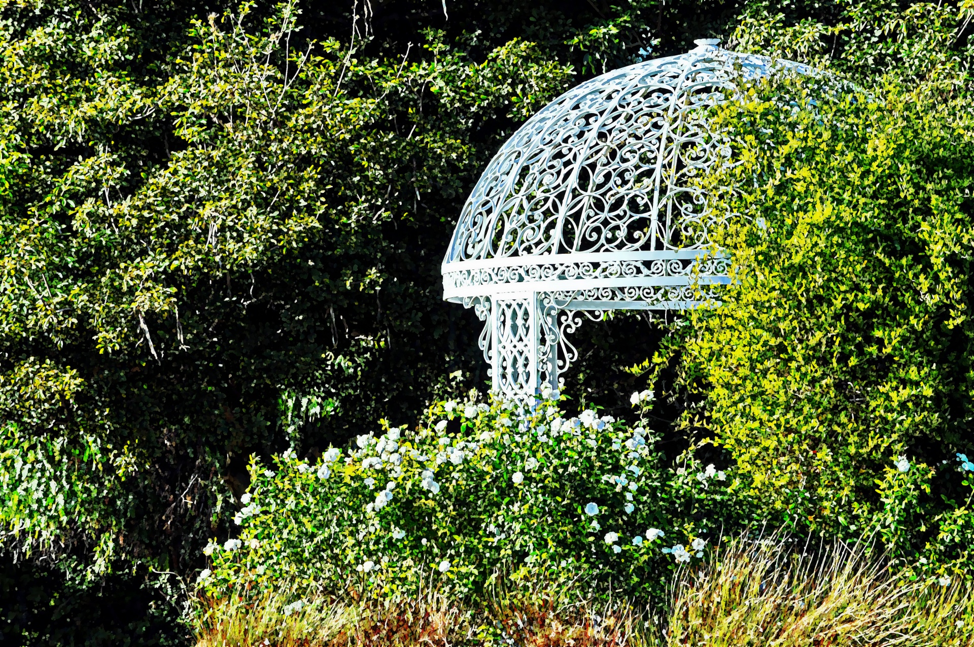 gazebo rose roses free photo