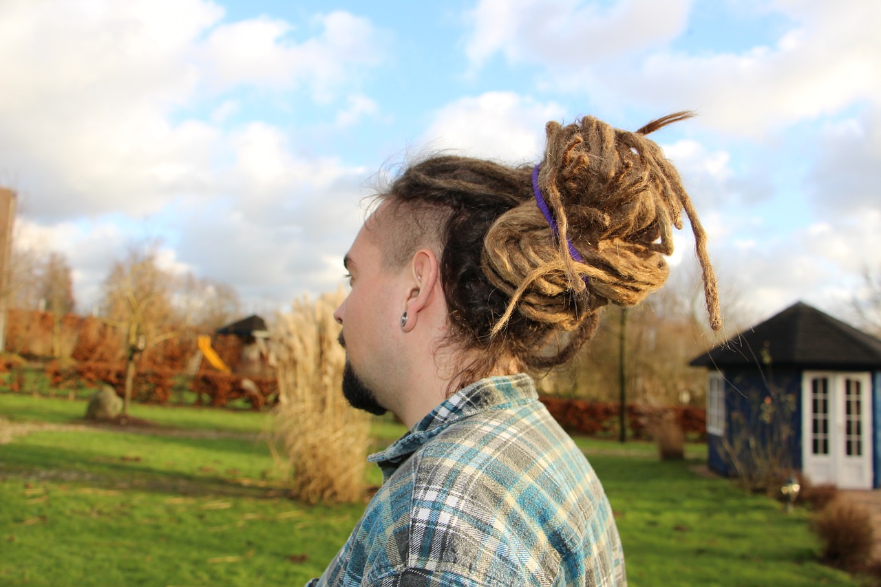dreatlocks rasta braids hair free photo