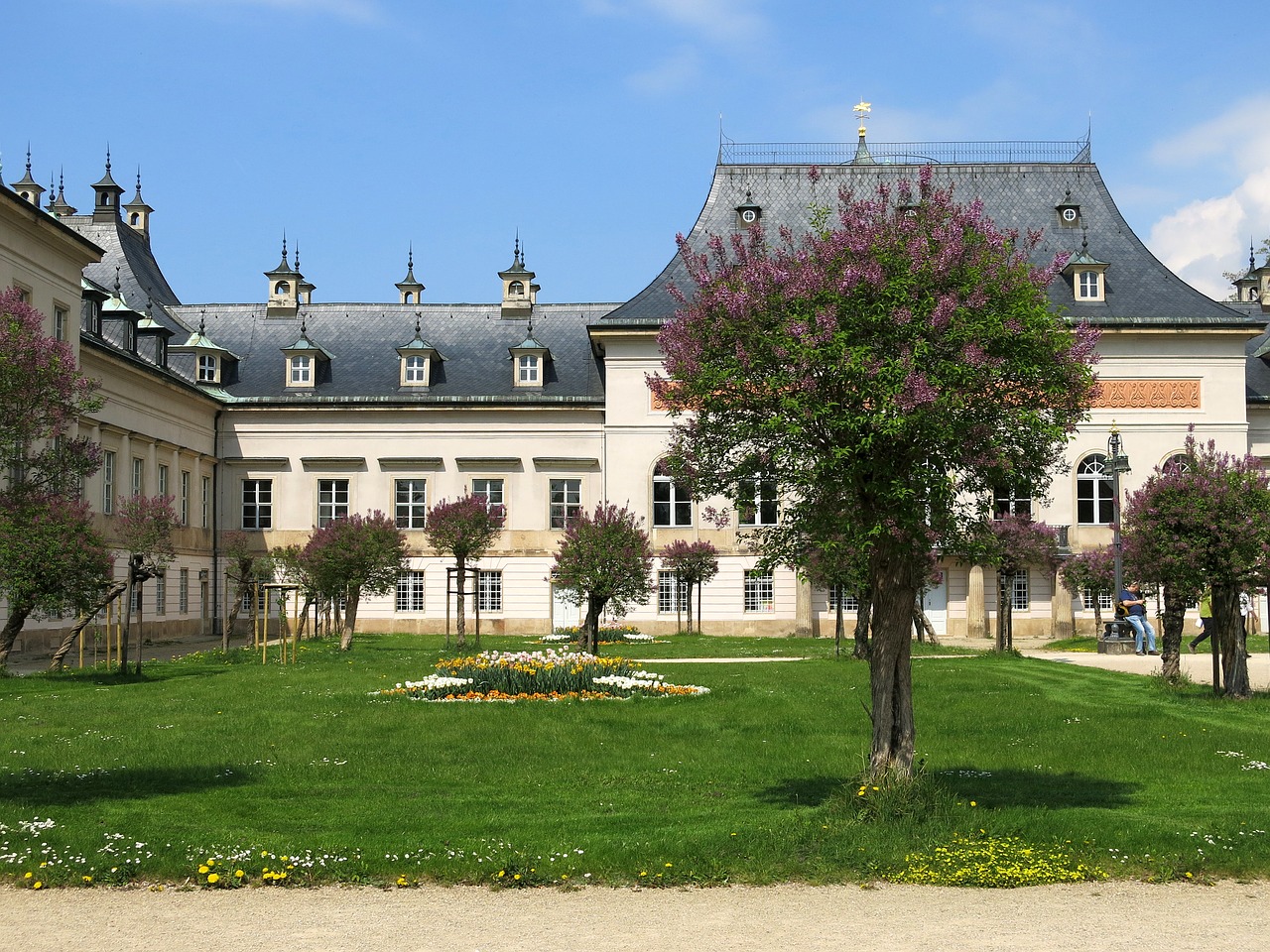 dresden pillnitz castle free photo