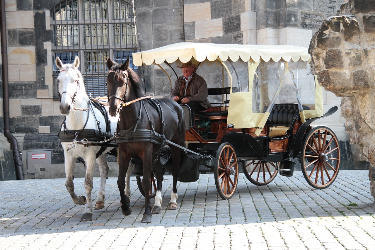 dresden frauenkirche horses free photo