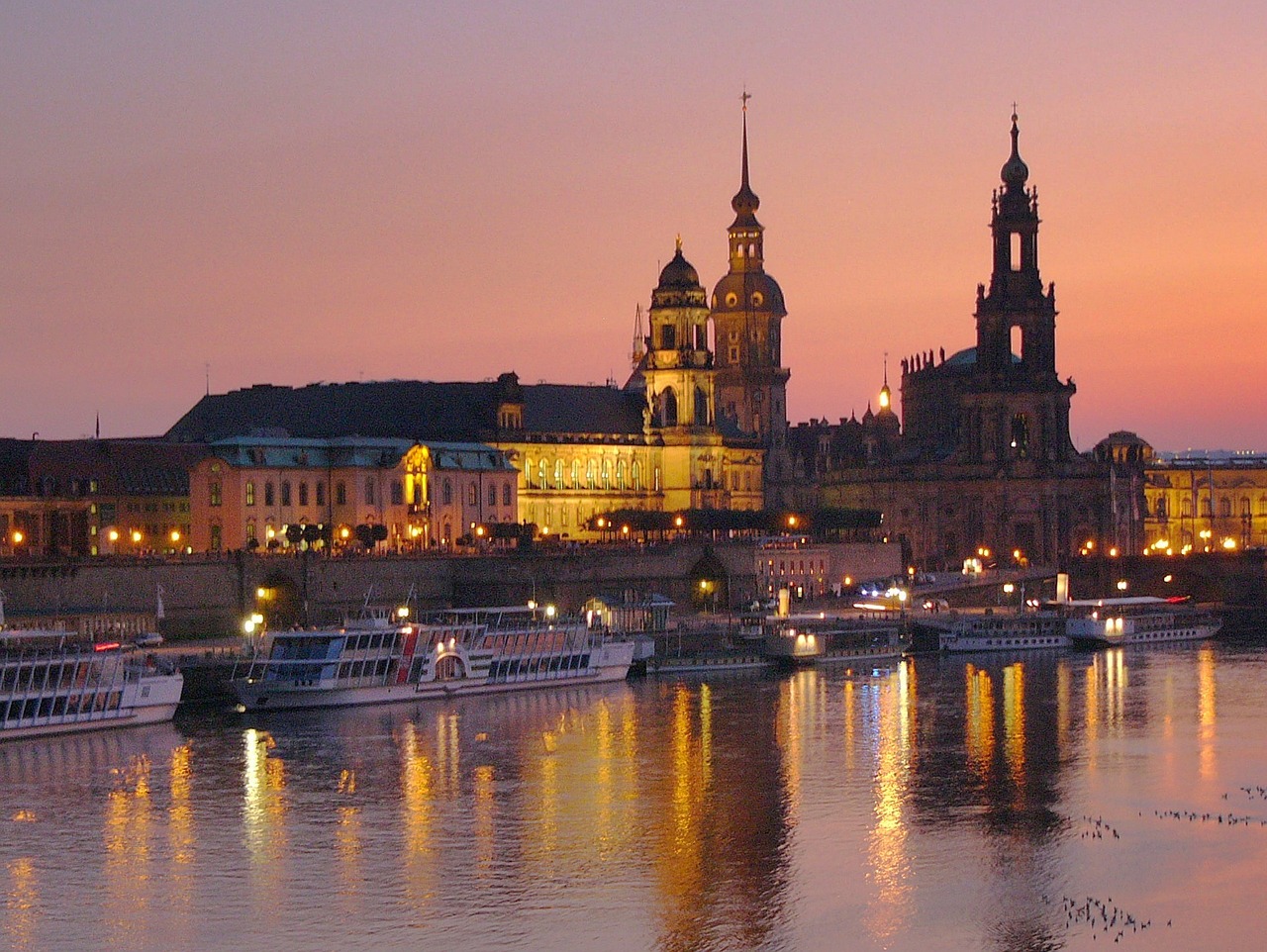 dresden night cathedral free photo