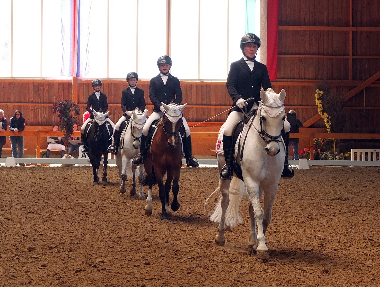 dressage tournament equestrian free photo