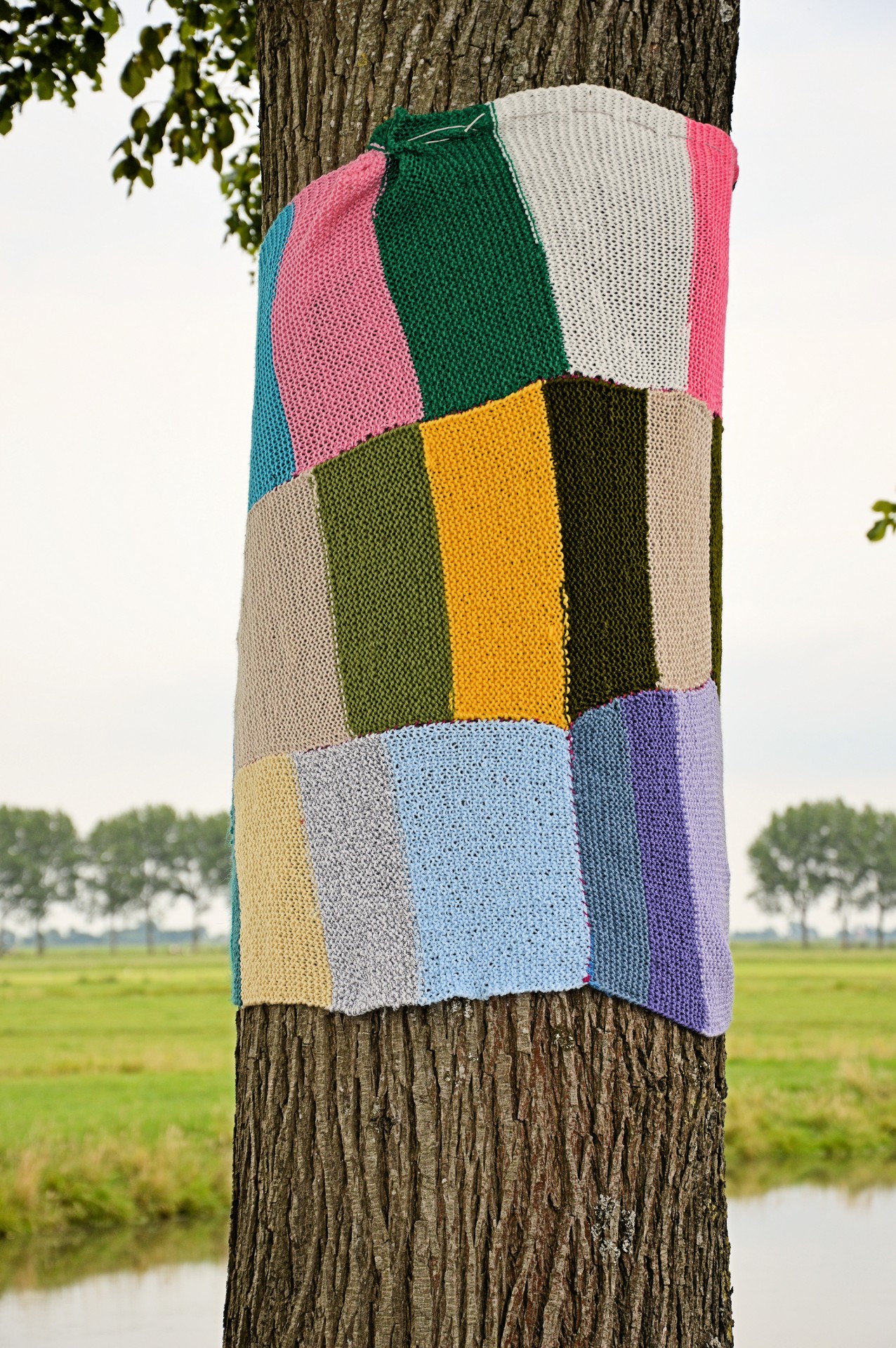 tree dressed sweater free photo