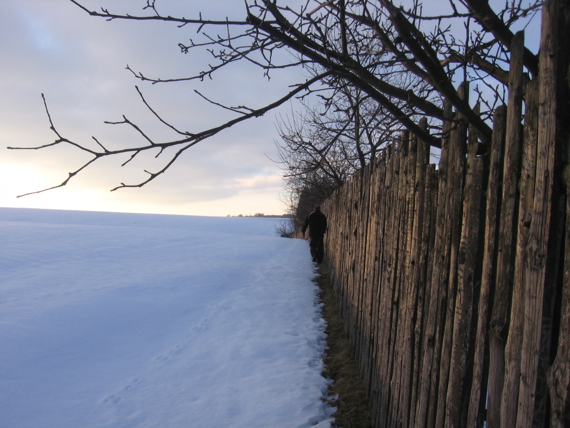 fence wood winter free photo