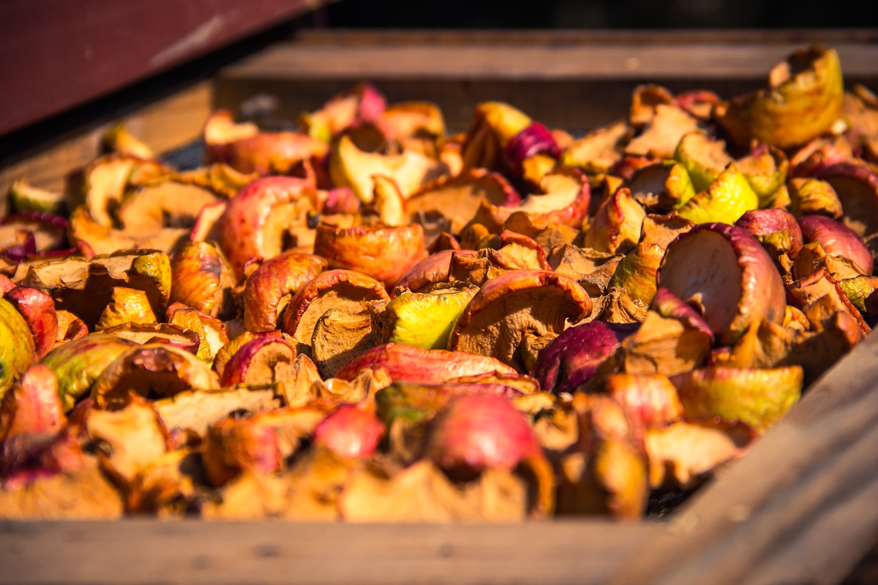 dried  apples  fruit free photo