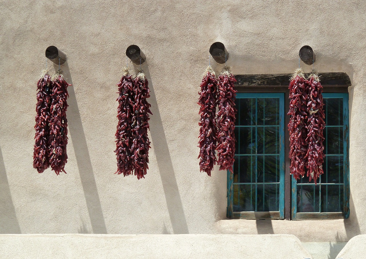 dried chili peppers free photo