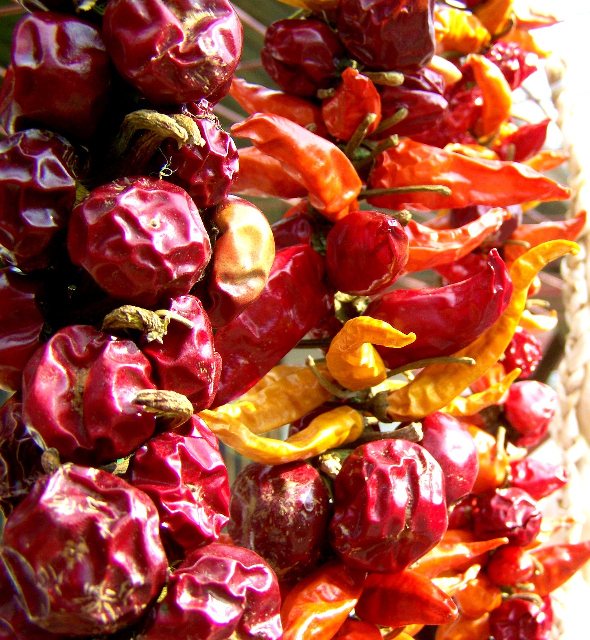 dried cherry pointed dried paprika vegetables free photo