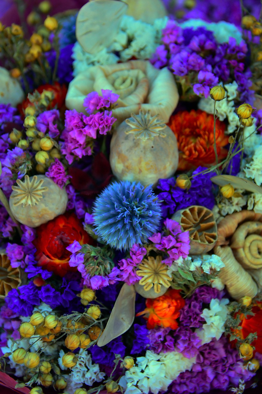 dried flower color wreath free photo