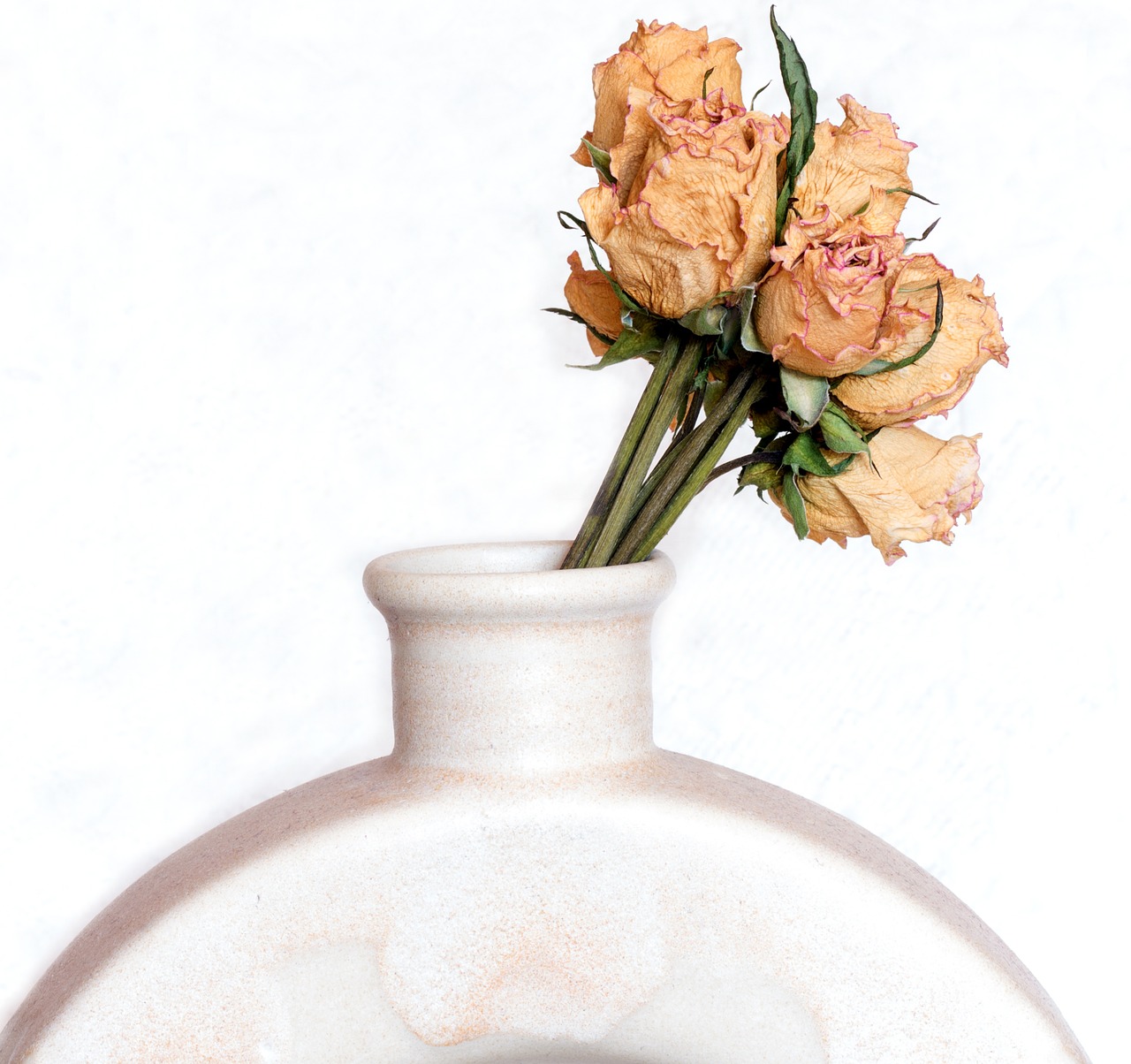 dried flowers roses bouquet free photo