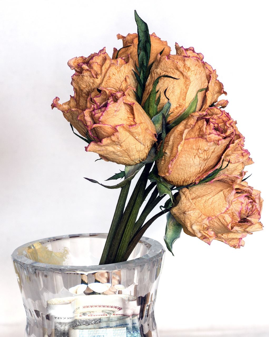 dried flowers roses bouquet free photo