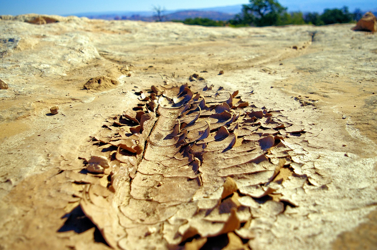 dried mud at canyonlands  mud  dirt free photo