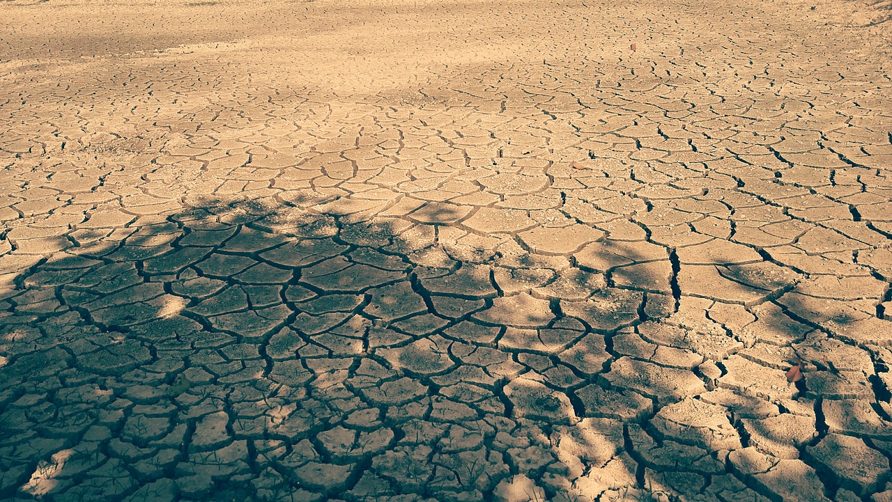 dried up land water free photo