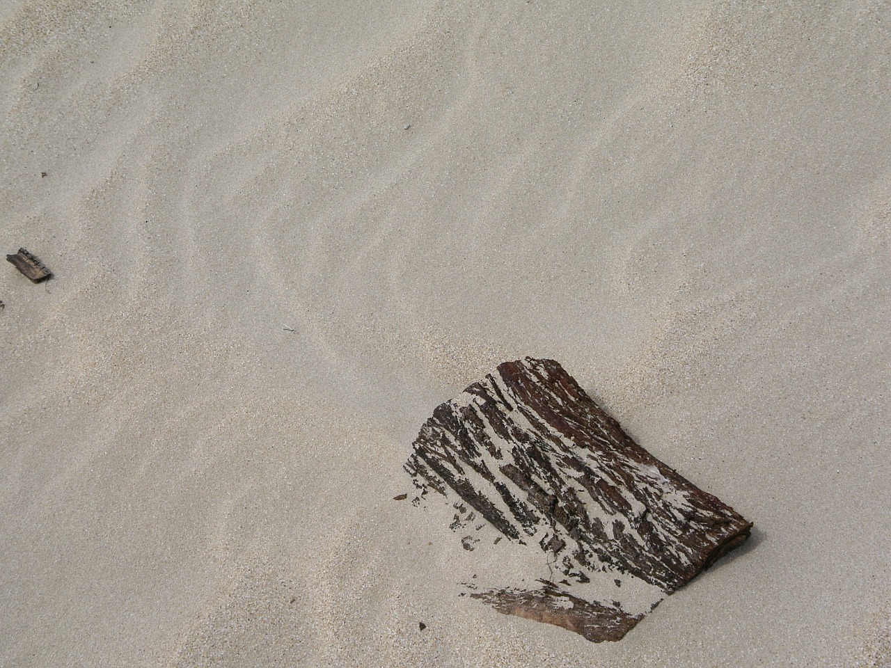 drift wood sand pattern beach free photo