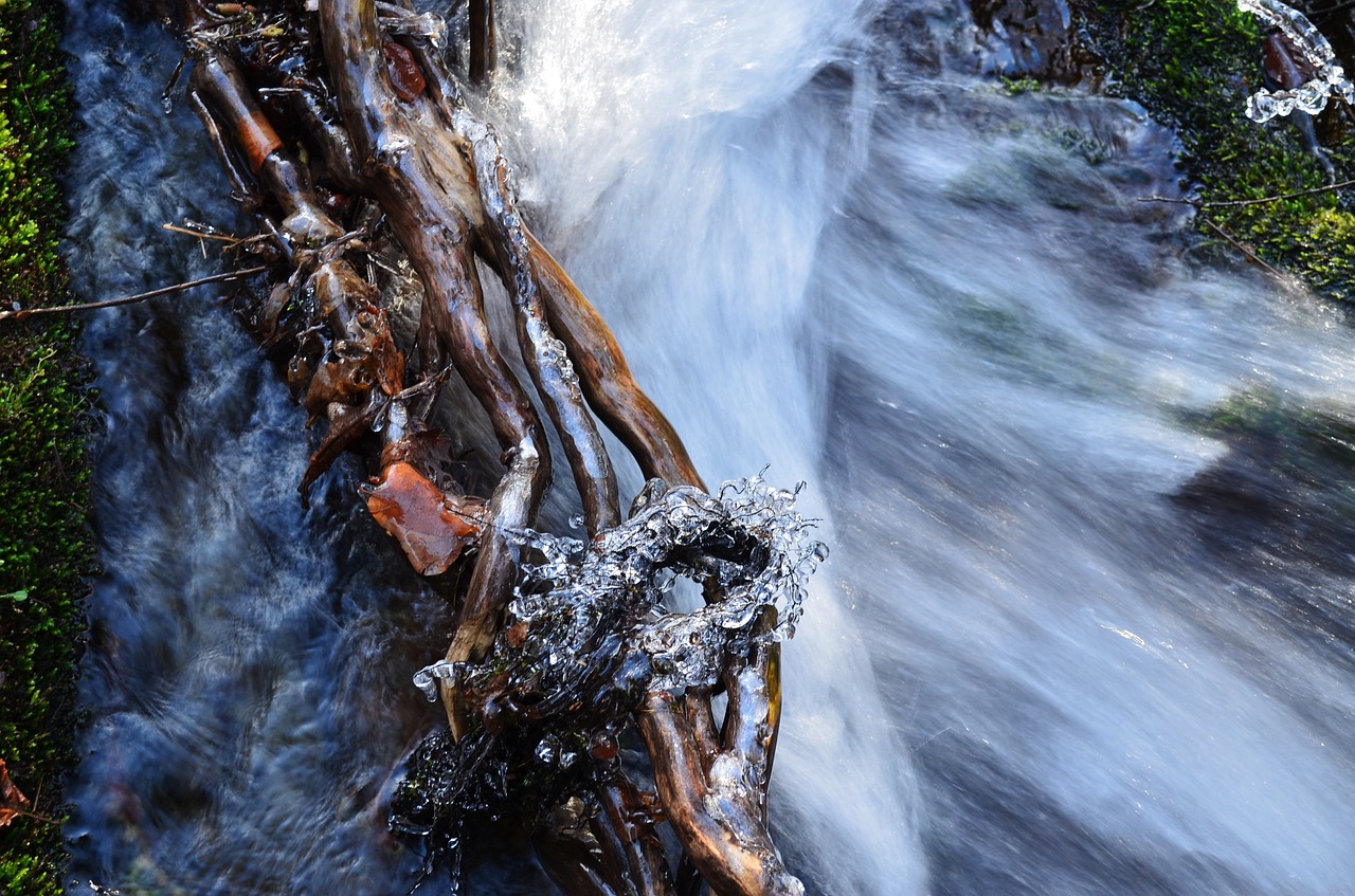 driftwood ice river free photo