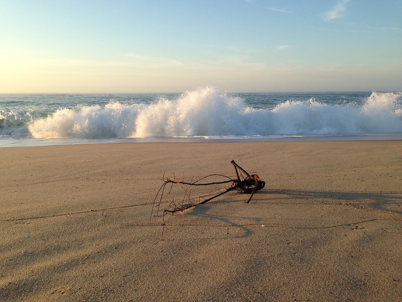 driftwood ocean wave free photo