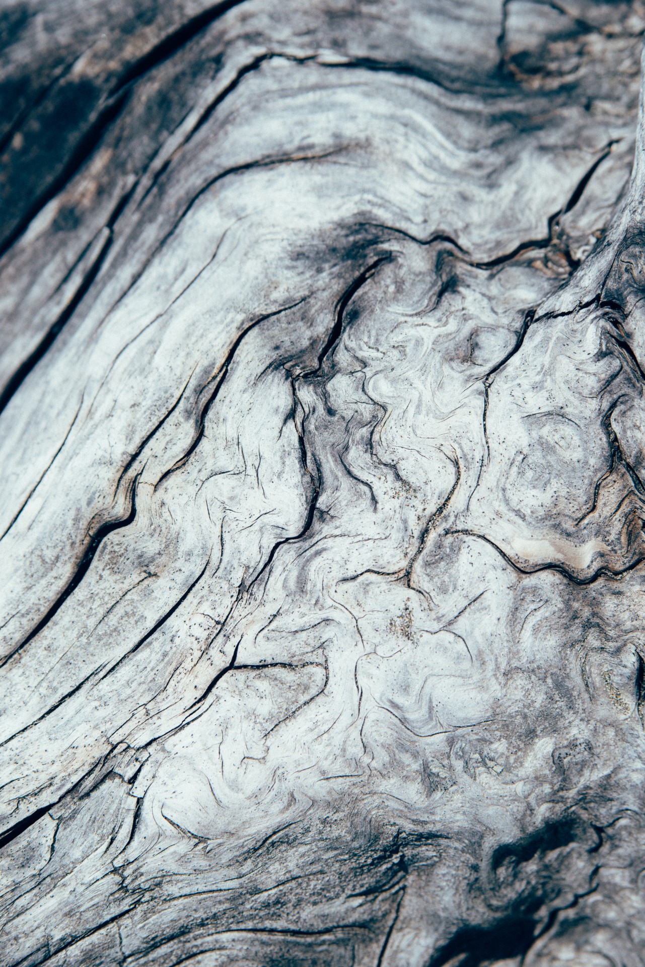 swirling design driftwood free photo