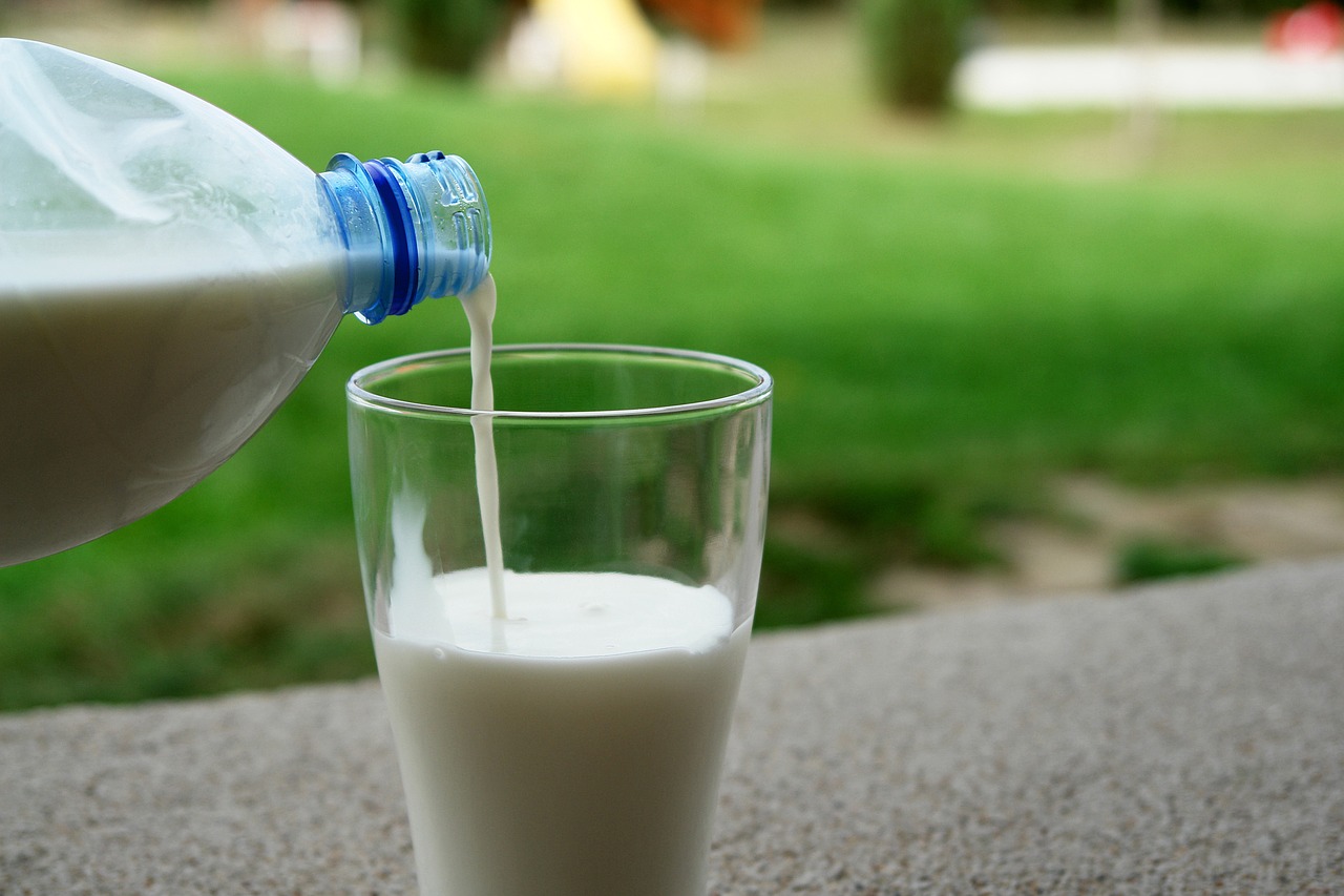 drink white milk free photo