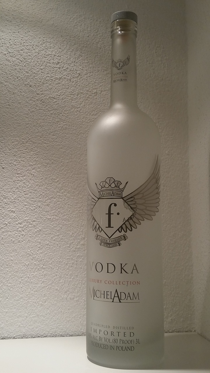 drink vodka bottle free photo