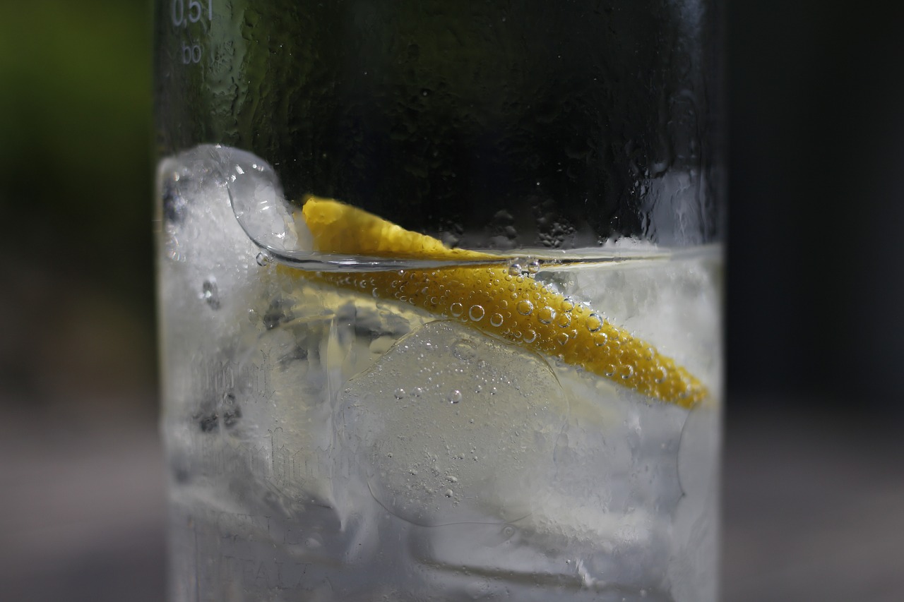 drink lemon glass free photo