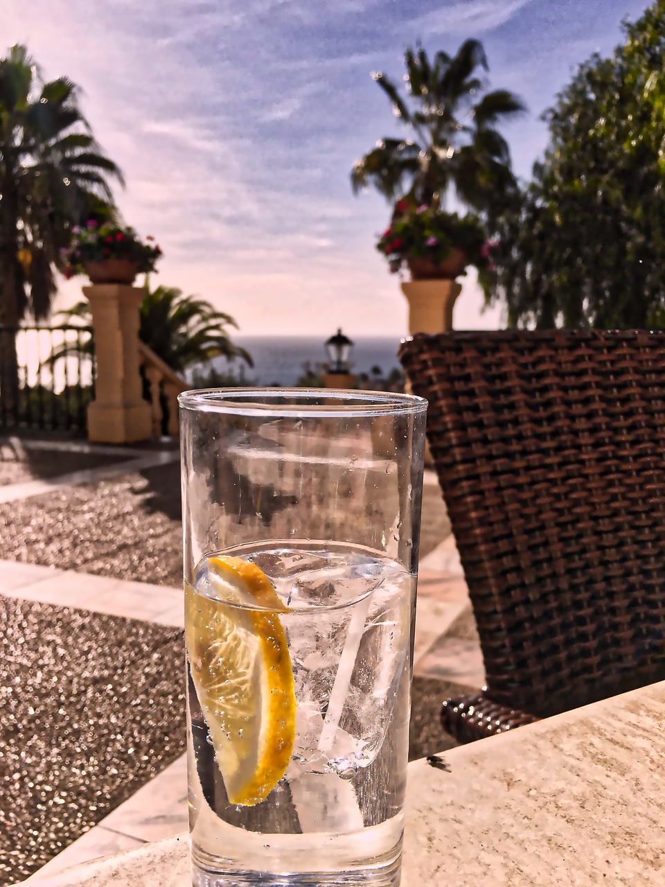 drink gin tenerife free photo