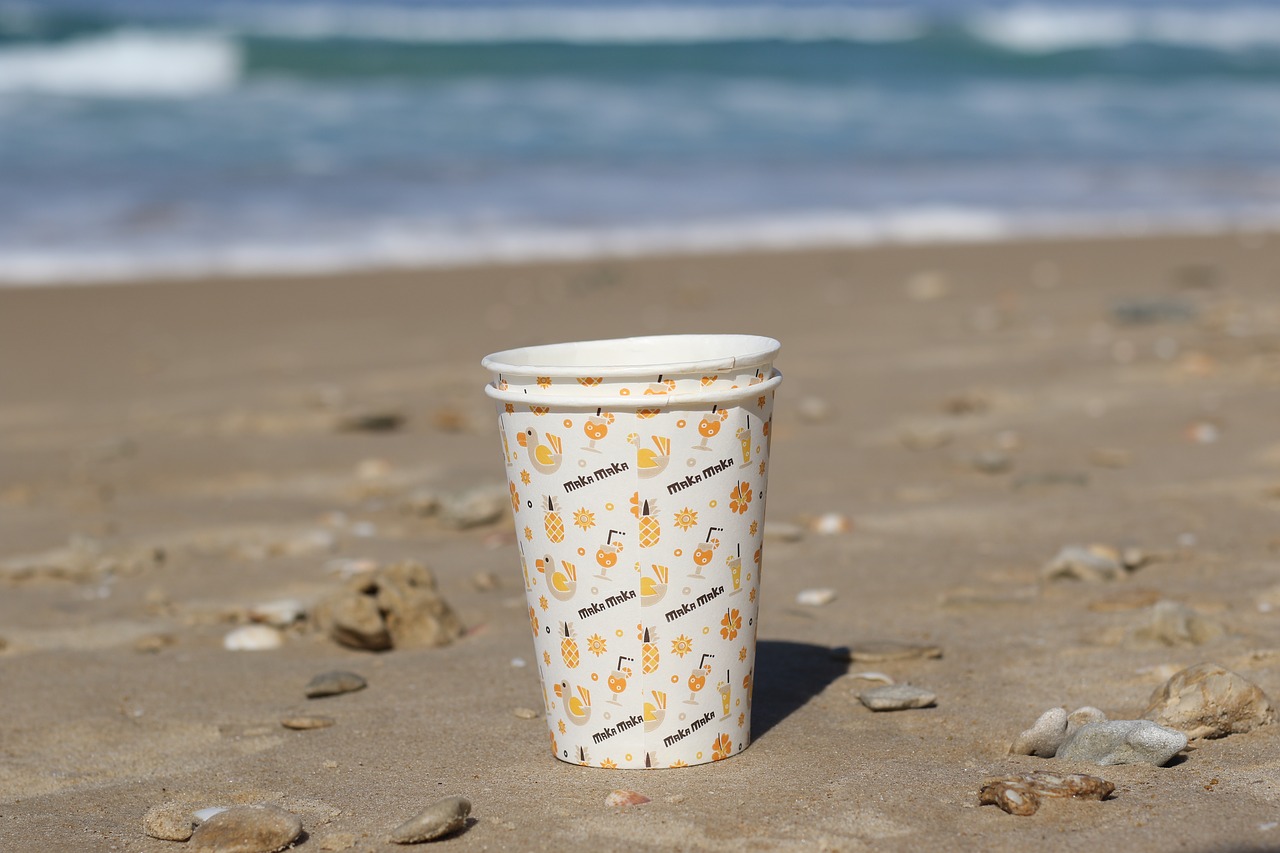 drink  cup  sea free photo