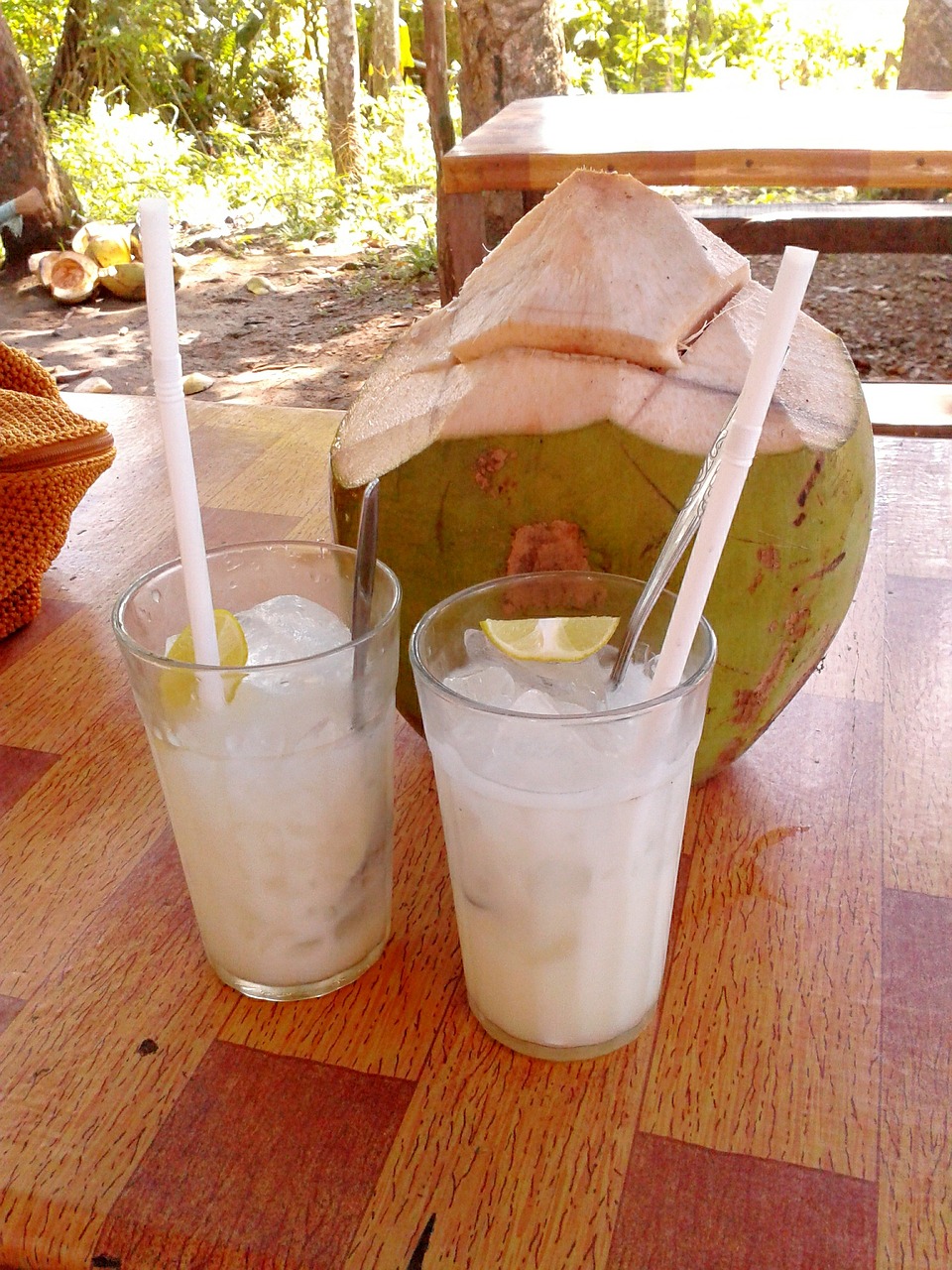 drink coconut tropical free photo
