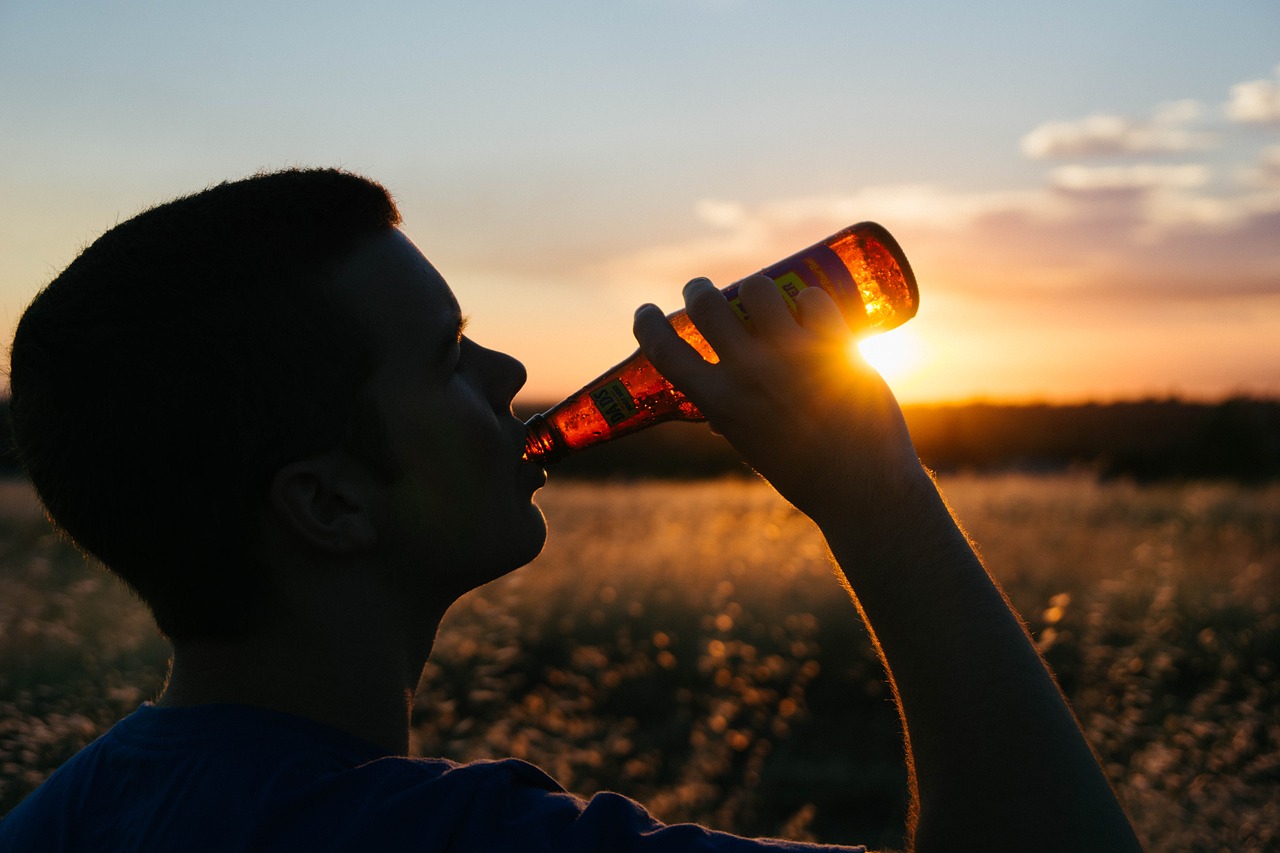 drinking beer bottle free photo