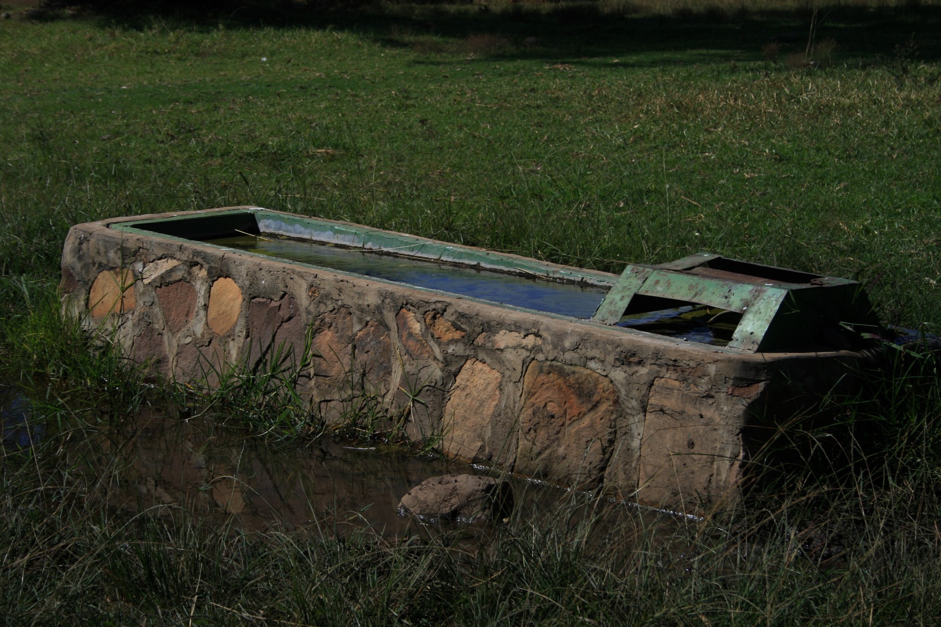 trough container water free photo