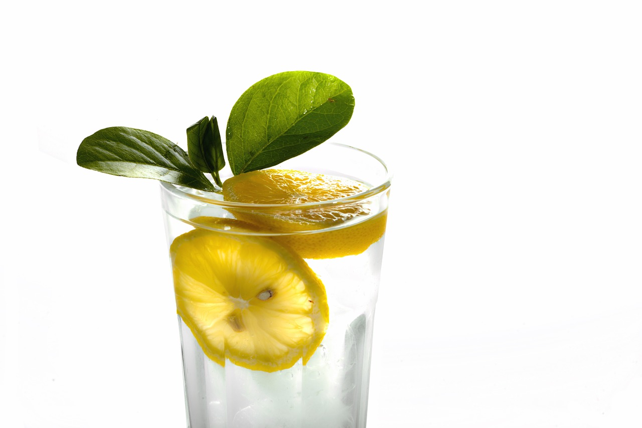 drinks lemonade mint free photo