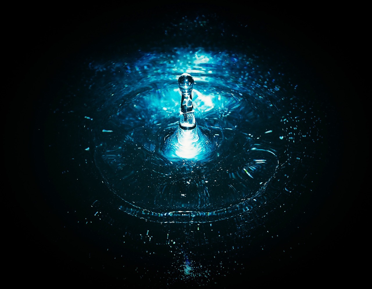 drip water drop of water free photo