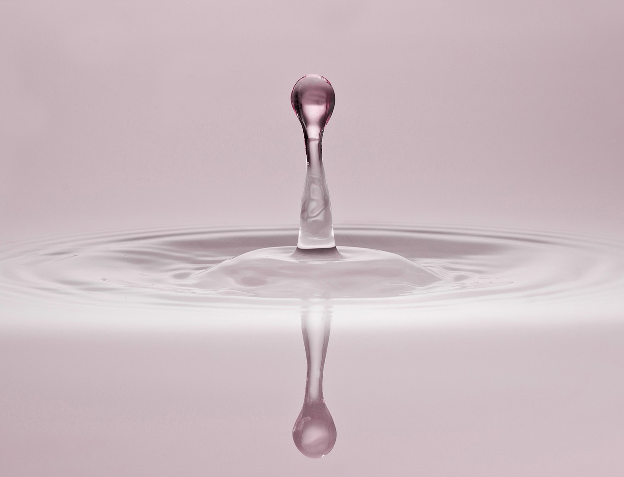 drip water drop of water free photo